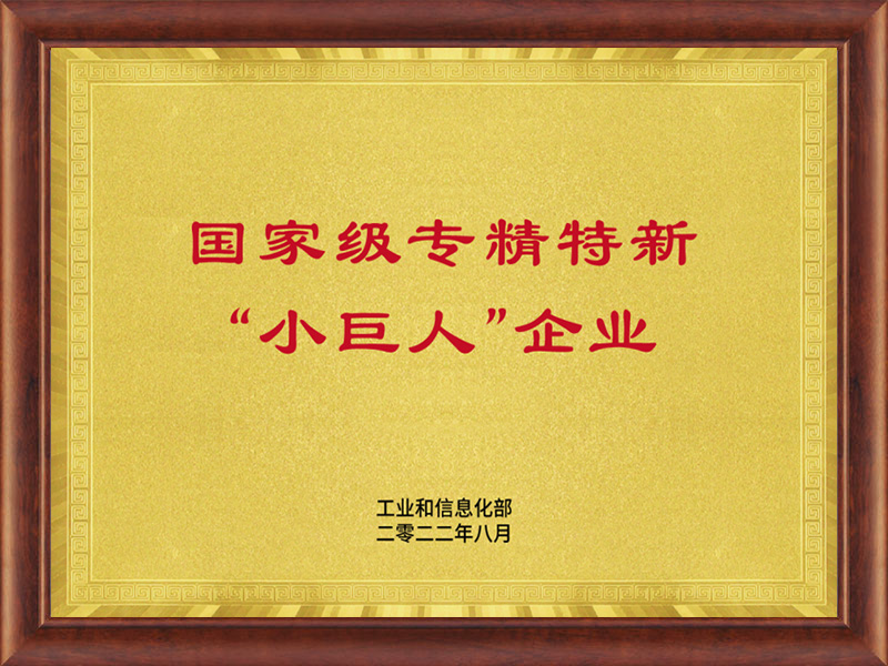 國家級(jí)專精特新“小巨人”企業(yè)